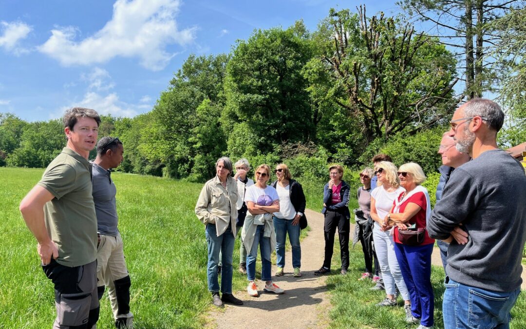 29/04 | Marche naturaliste avec BEECITY, Dardilly